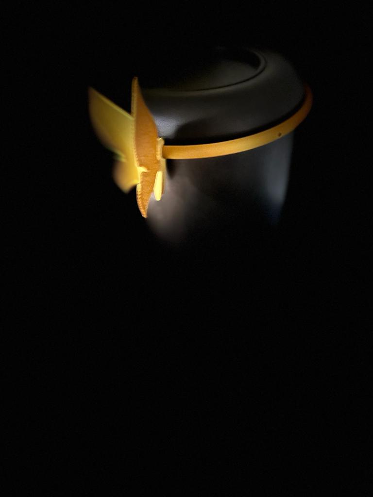 Einweg Aschekapsel Ring zum Senken mit Schmetterling Gold